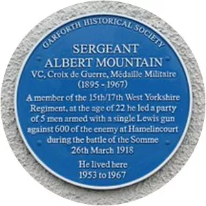Albert Mountain