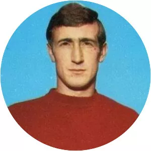 Alberto Carelli - Italian football player