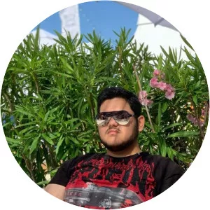 Alberto Grasu - Musical artist