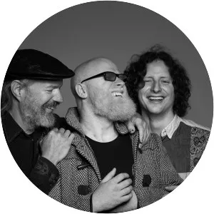 Albi & The Wolves - Musical group