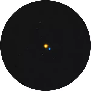 Albireo