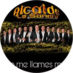 Alcalde La Sonora - Musical artist