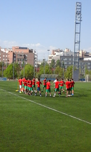 Alcobendas Levitt CF - Football club in Alcobendas, Spain