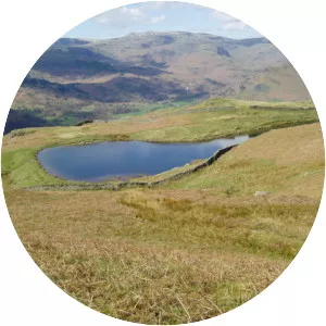 Alcock Tarn - Lake in England