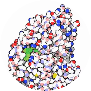 Alcohol dehydrogenase photograph