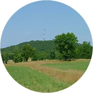 Alcovy Mountain - Monadnock in Georgia