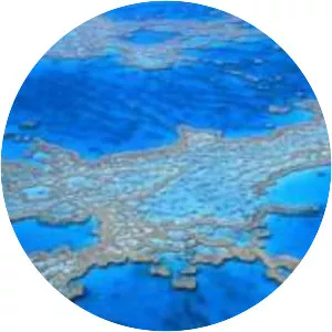 albert marzinotto aldo cadiz - Musical artist