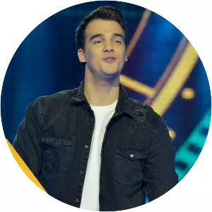 Aleksa Perovic - Musical artist