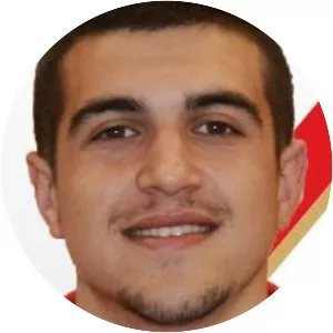 Aleksandar Mesarović