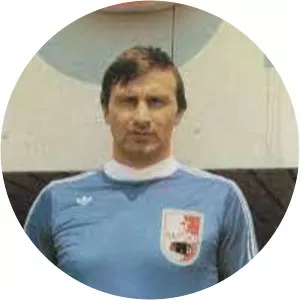 Aleksandar Panajotović