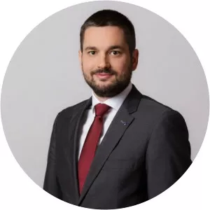 Aleksandar Senić - Politician