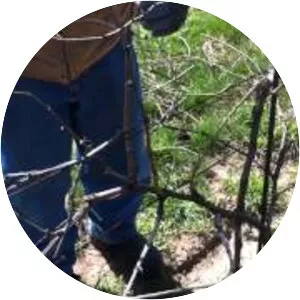 Aleksander Estate Winery - 