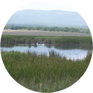 Alepu - Nature reserve in Bulgaria