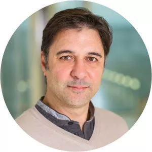 Alessandro Cellerino