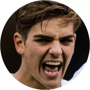 Alessandro Tripaldelli