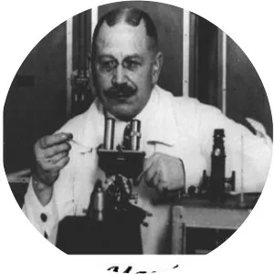 Alexander A. Maximow