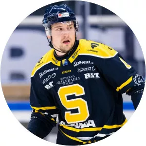 Alexander Anderberg - Ice hockey player