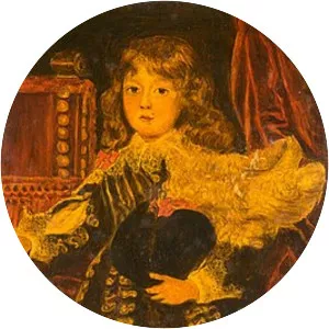 Alexander Farnese, Prince of Parma - Political leader