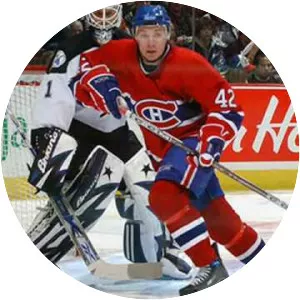 Alexander Perezhogin - Russian ice hockey player