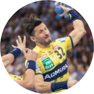 Alexander Petersson - Handball player