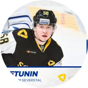 Alexander Petunin - Researcher