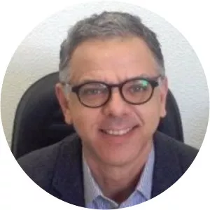 Alexander Roberto Precioso - Researcher