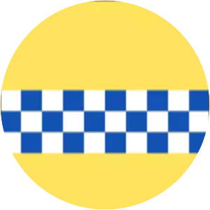 Alexander Stewart, 4th High Steward of . . .