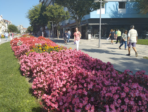Alexandra Azevedo - Design de interiores, Arquitetura