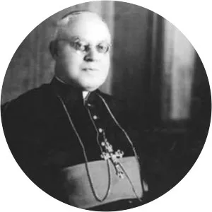 Alexandre Gonçalves do Amaral