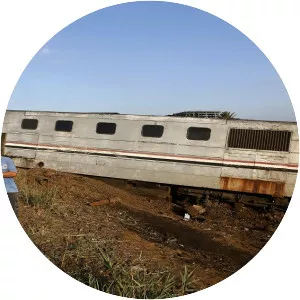 Alexandria train collision