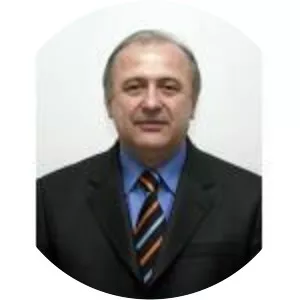 Alexandru Boroi - Author