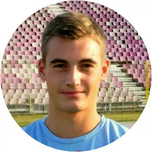 Alexandru Cherecheș