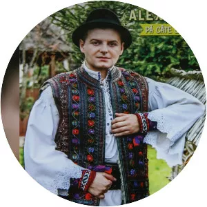 Alexandru Pop - Musical artist