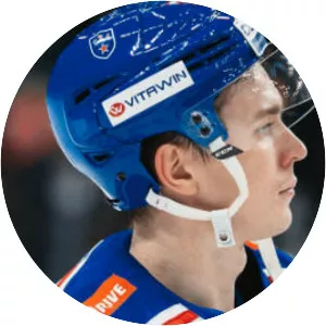 Alexei Byvaltsev - Ice hockey player