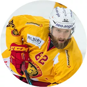 Alexei Dostoinow - Ice hockey player