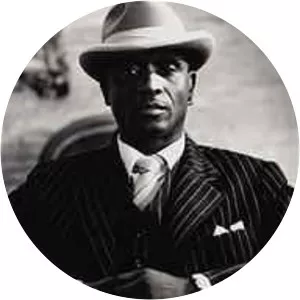 Alfi Trowers - Musician