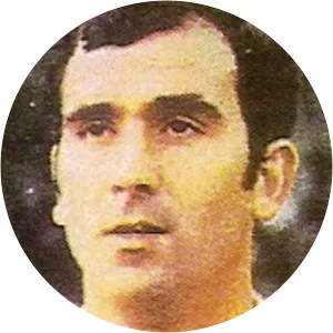 Alfonso Fanjul
