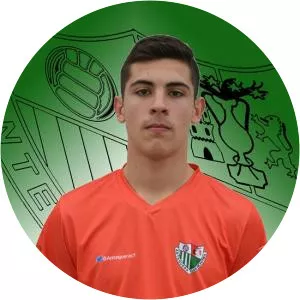 Alfonso Liceras González