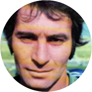 Alfredo Quaresma - Portuguese footballer