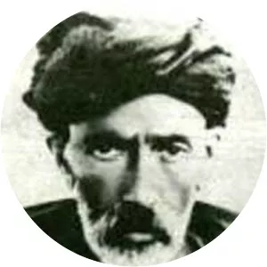 Ali Akbar Sheida - Musician