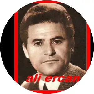 Ali Ercan - Musician