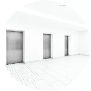 Ali Ferguson photograph