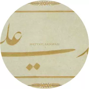 Ali Haydar Bey - Politician