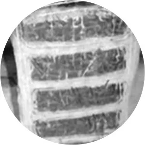 Ali Khali' Qasam photograph