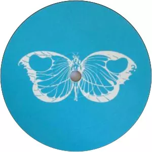 Alice D in Wonderland - Musical group