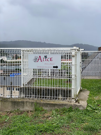 Alice School of English - English language school in Viveiro, Spain