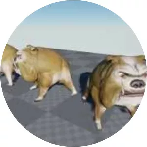 Alien Bounty Hunter - Fictional character