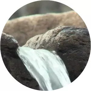 Aliens and Ancient Engineers