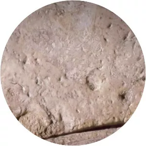 Aliens and Cover Ups