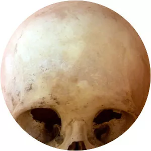 Aliens and the Creation of Man - Ancient Aliens: Season 3, Episode 16